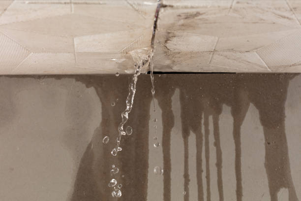Professional Structural Drying technician working in Cragford, AL
